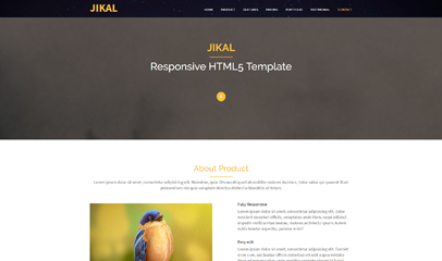 UI插画设计师响应式html5模板