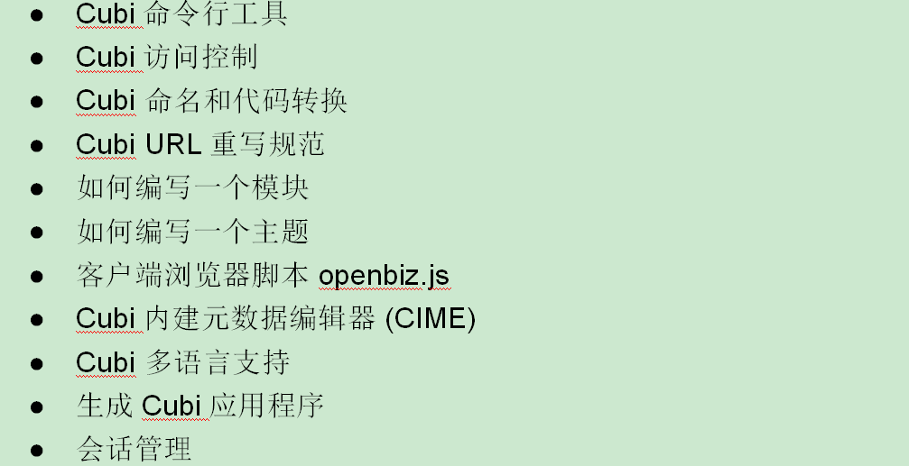 Openbiz Cubi 快速应用开发向导 中文WORD版