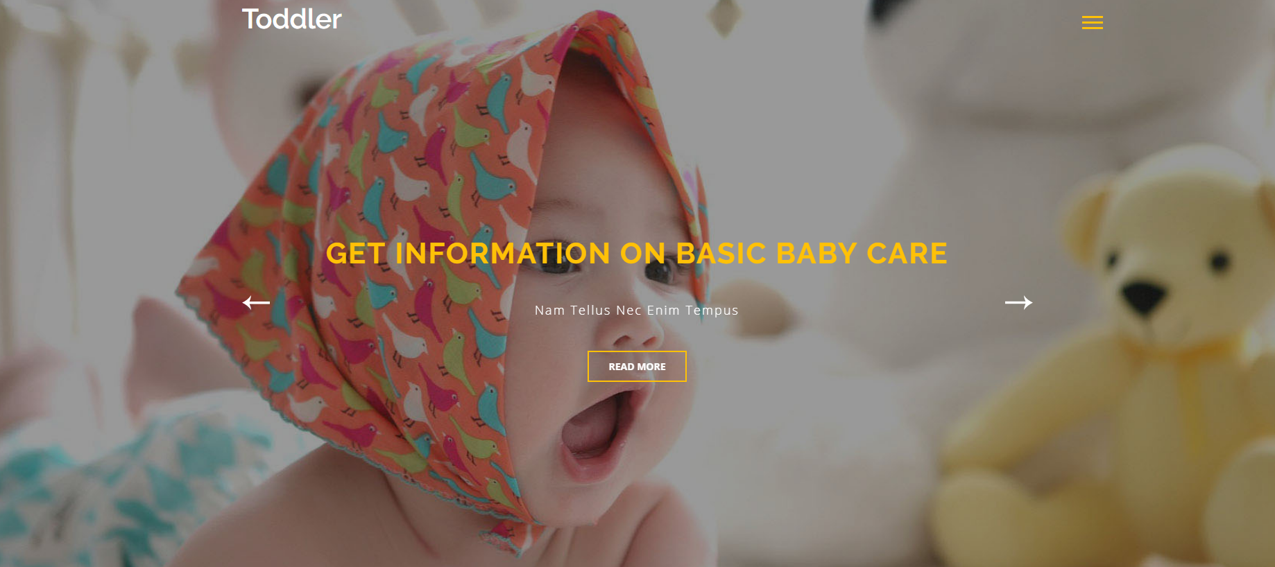 婴儿用品店的网站模板
