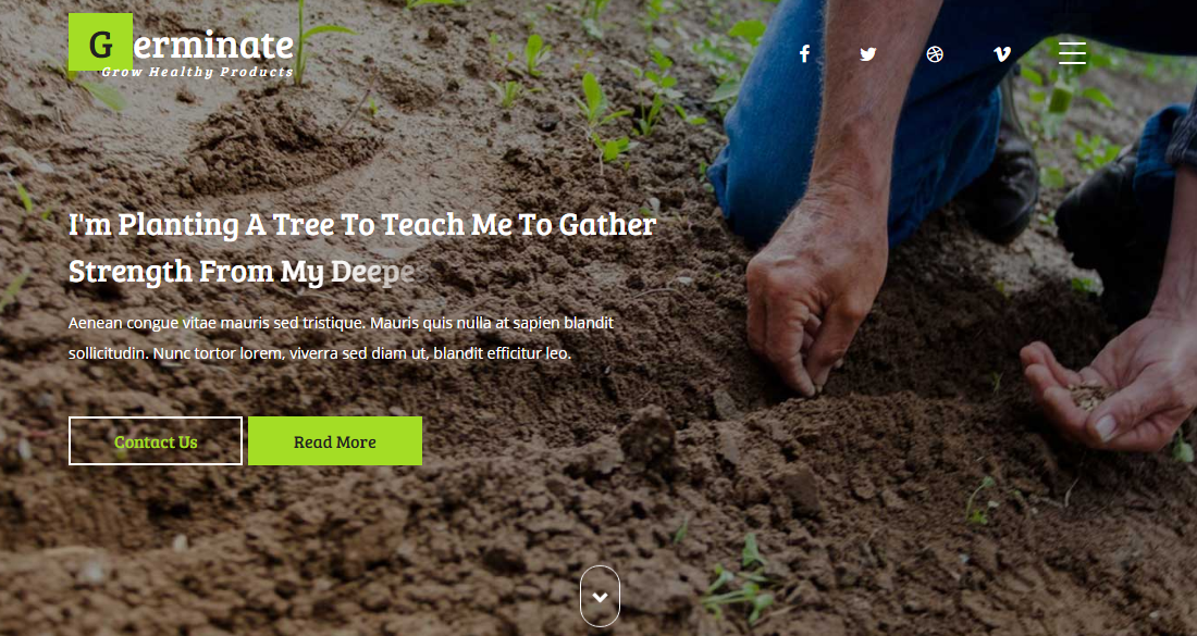 绿色的水果种植企业网站模板
