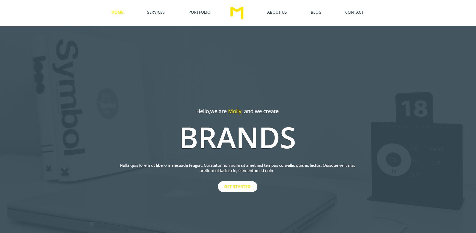 灰黄色项目设计企业网站