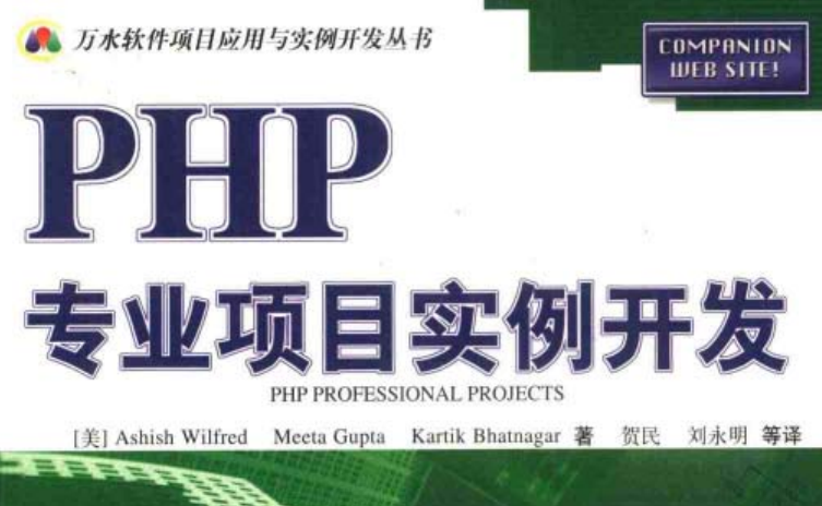 php专业项目实例开发 PDF格式