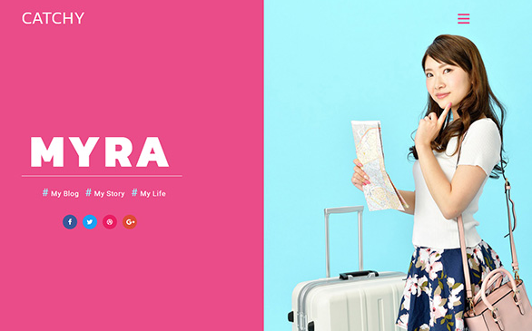 Fashion Trolley Case Counter Website Template