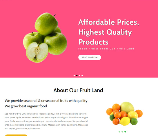 粉色新鲜水果网站销售模板