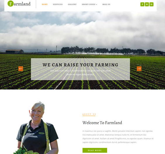 专业绿色蔬菜种植网站模板