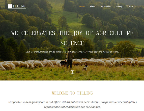 农业耕作响应式前端网页模板