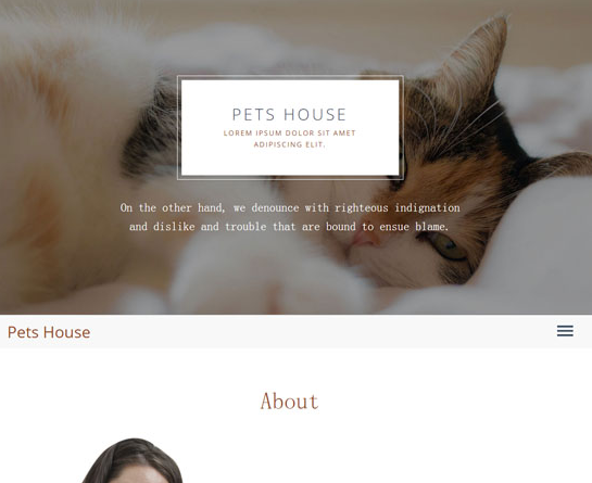 HTML5大气简洁宠物前端网站模板