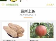 eShop公众号商城