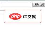 驗(yàn)證通2010示例 asp版