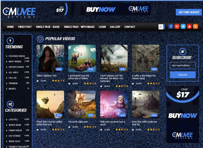 Bootstrap video website template