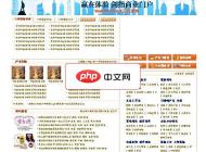 網勝B2B電子商務系統(tǒng)藍色風格 2008 SP6.3 普及版