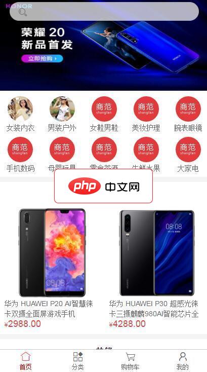 shangfan(商范商城H5+PC)