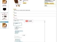 NetShopForge2009网上商店程序(VB)源码