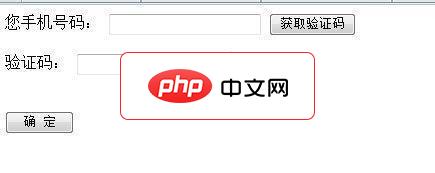 验证通2010示例 PHP版
