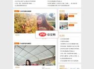 时尚科技风格的discuz网站模板