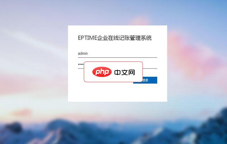 企业在线记账管理系统7.5 build20210928