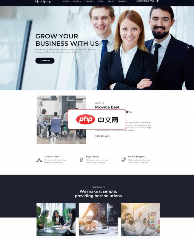 DM系统HTML5商务咨询服务公司网站模板1.7