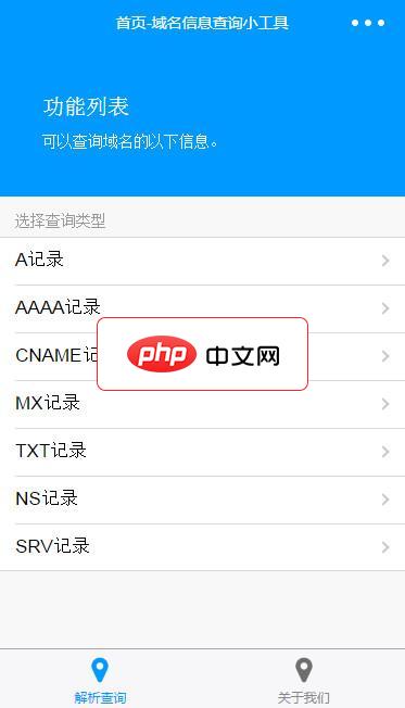 域名解析信息查询小程序