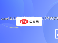 Asp.net企業(yè)網(wǎng)站管理系統(tǒng)2.0 (精美實用)