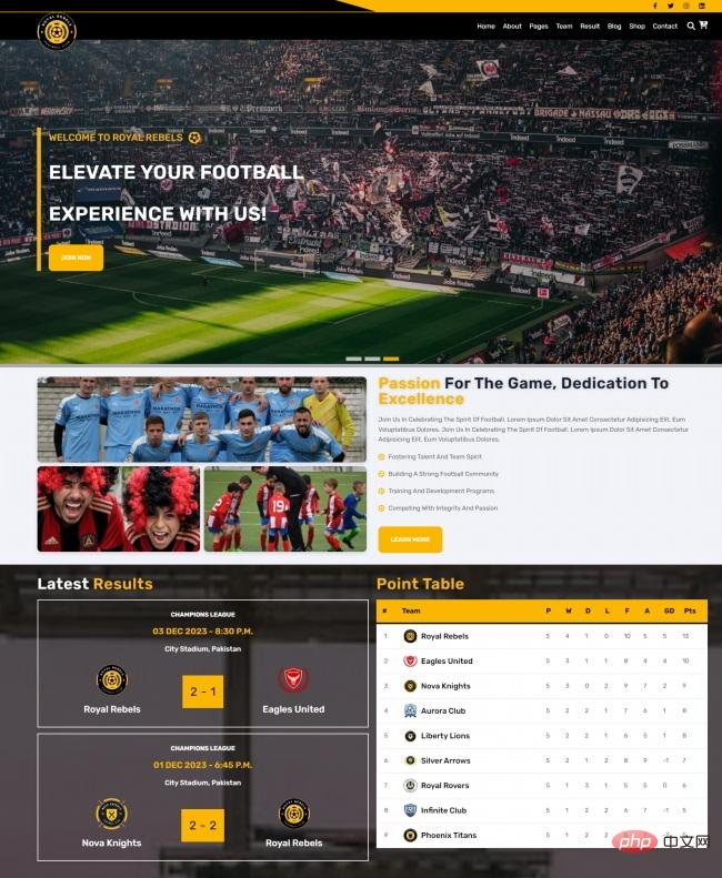 响应式足球俱乐部宣传网站模板