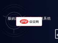 版纳武林DIY企业建站系统