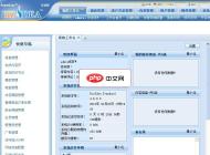 动易BizIdea企业电子商务管理系统