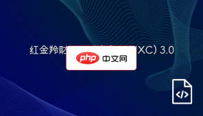 红金羚财务进销存(REDJXC) 3.0