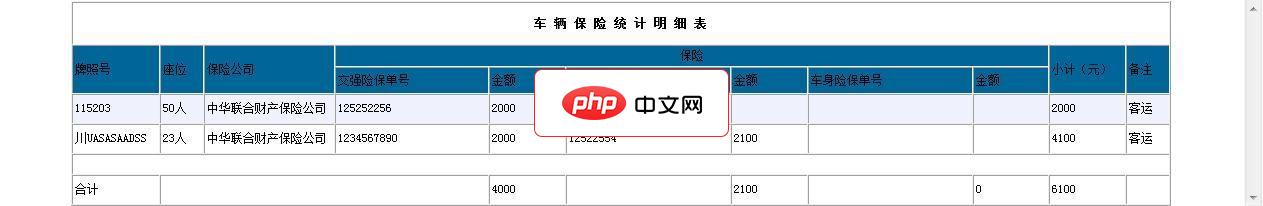 白月工作室车辆与车辆保险管理系统GBK1.0