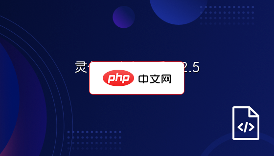 灵信网络办公系统2.5