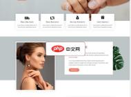 wordpress外贸网站shopire主题源码3.3