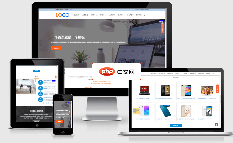 DM企业建站系统2025