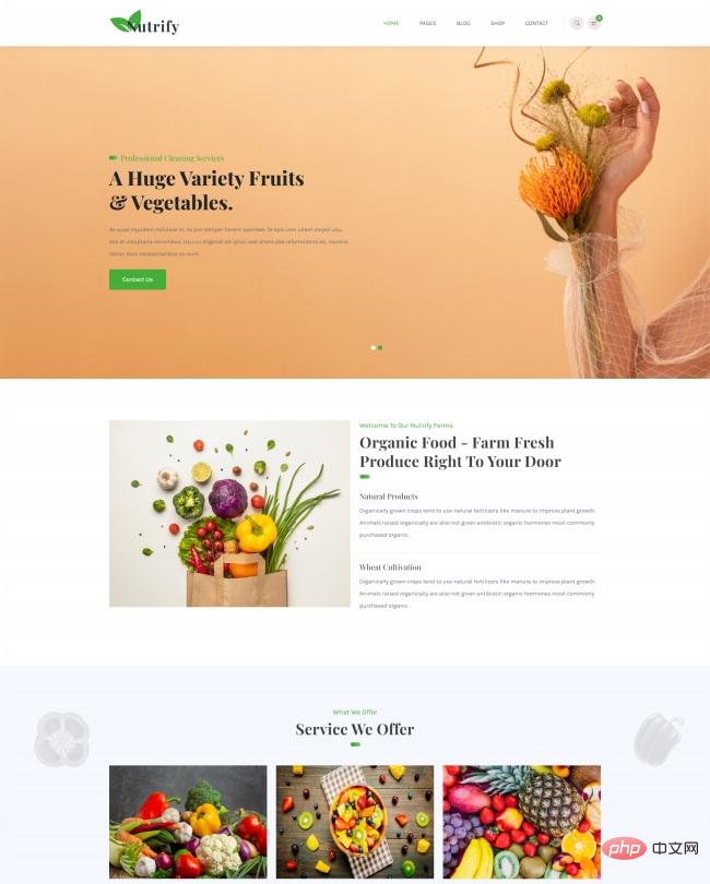 有机水果蔬菜HTML5网站模板