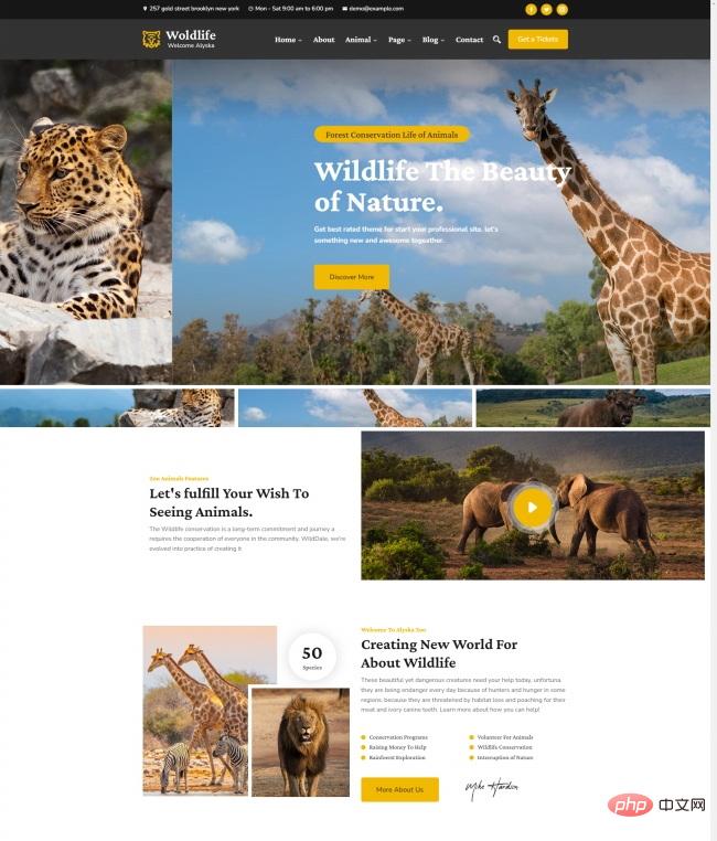 Responsive wildlife protection promotion website template