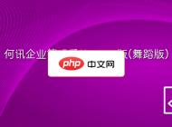 何讯企业管理系统 H6.1版(舞蹈版)