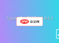 Topsky酒店管理系统2.8.5.3