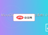 MicroCMS单文件开源企业系统1.0