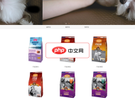 易优宠物用品网站源码1.7.1