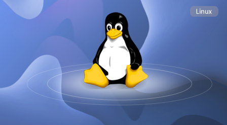 Linux常用命令课件