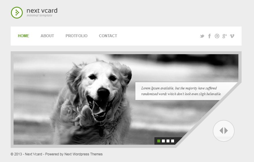 Next VCard Simple Template