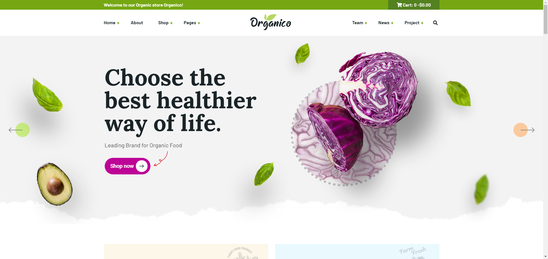 响应式蔬菜水果商店网站模板-Organio