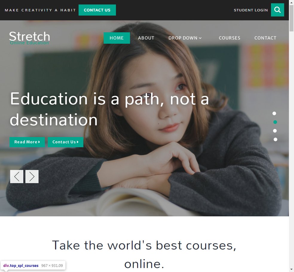 bootstrap响应式美国社会教育HTML网站模板-Stretch