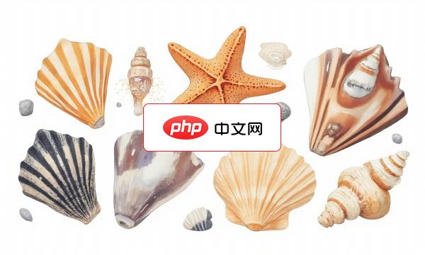 一组海洋贝壳合集矢量素材