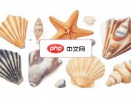 一组海洋贝壳合集矢量素材