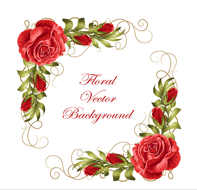 Beautiful rose invitation vector material