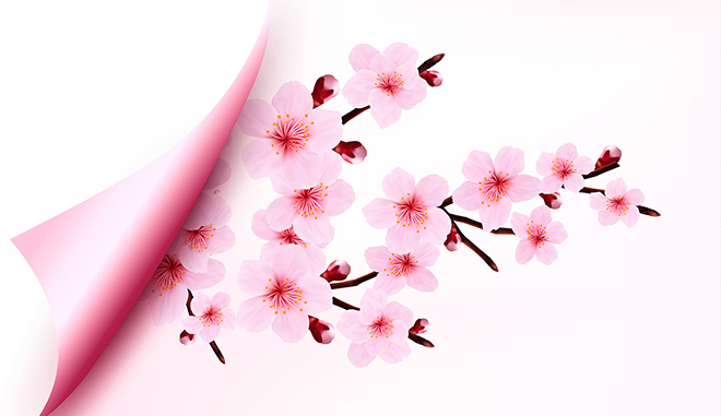 绚丽粉色花朵植物矢量素材