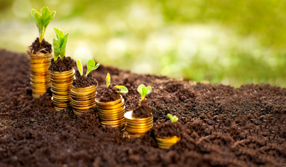 HD pictures of gold coins sprouting from the soil