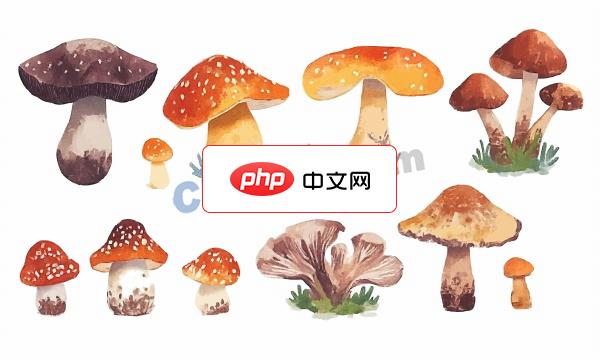 一组野生蘑菇插画矢量素材