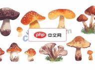 一组野生蘑菇插画矢量素材