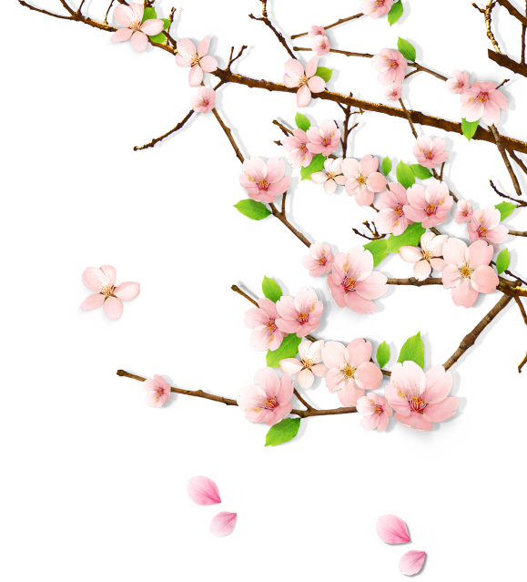 春天绿意桃花桃树枝PNG素材