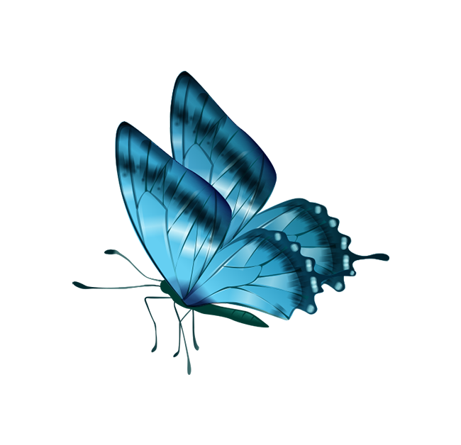 Decorative flower butterfly PNG material